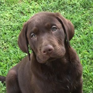 Meet your Posher, Lori